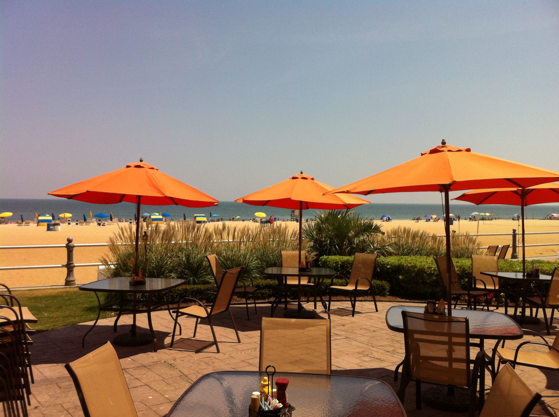 Restaurants On Atlantic Ocean In Virginia Beach Beach Virginia Restaurants Water Guide Services Restaurant Seafood Lodging Profiles Coupons Partner Dining Activities Shopping Events